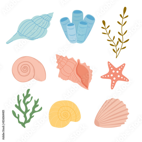 Seashells set, flat illustration on a white background. Vector. Set for design, summer stickers.