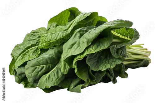 Fresh bunch of vibrant green spinach leaves. Perfect for salads, smoothies, and cooking. Healthy, organic, and nutrient-rich green vegetable. photo