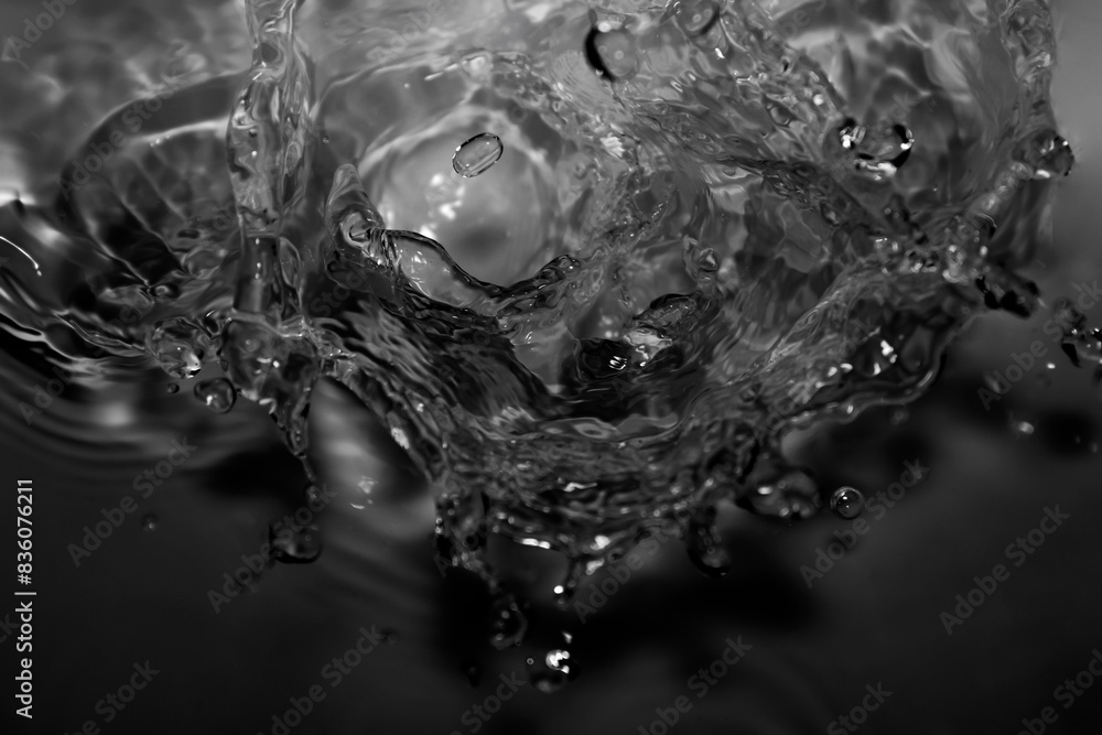 The black crown of water droplets splashing. The black crown of water droplets splashing.