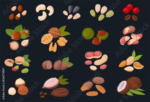 Nuts on dark background. Cartoon organic raw walnuts, almonds, pistachios and hazelnut, tasty snacks for vegetarian diet flat vector illustration set. Nuts collection