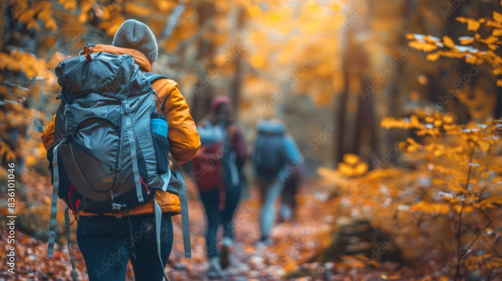 a group of hikers with backpacks hiking in autumn forest, rear view a group of hikers with backpacks hiking in autumn forest, rear view