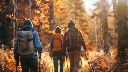 a group of hikers with backpacks hiking in autumn forest, rear view