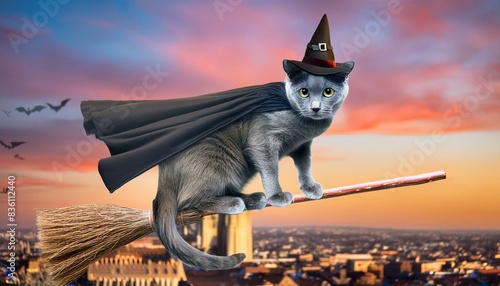 Gray cat dressed up as a witch with a cape, riding a broom of a city. Bats can be seen flying in the background.