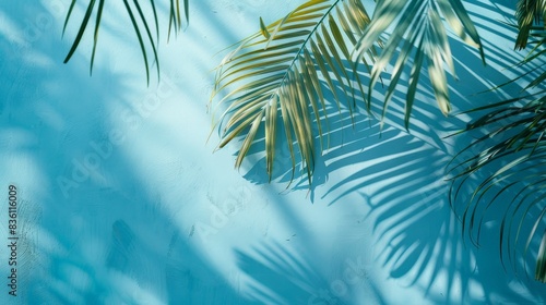 Palm Leaf Shadows on a Turquoise Wall in the Afternoon Sun