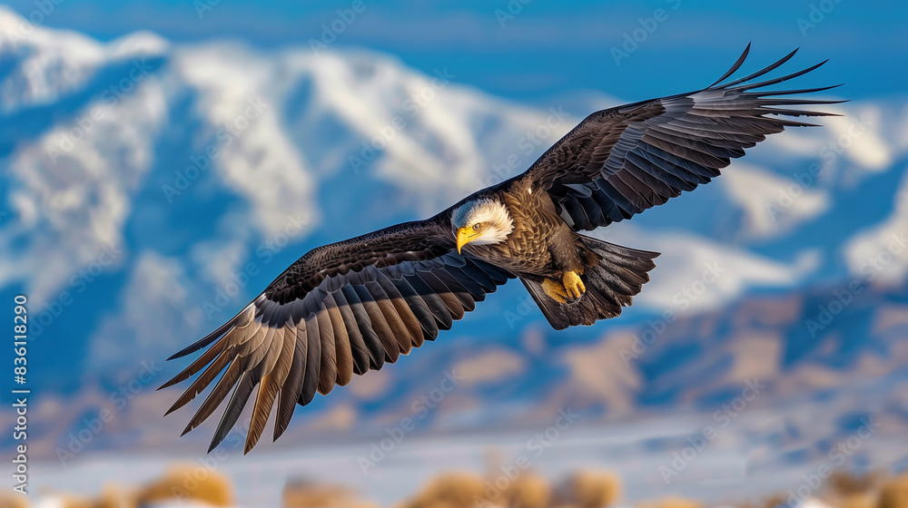 Obraz premium Majestic Eagle in Flight, Generative Ai