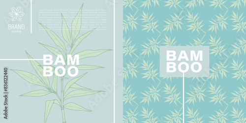 Two elegant labels showcasing bamboo plant illustrations in an engraving style, set against pastel-colored backgrounds with prominent, stylish typography. Botanical vector seamless pattern.