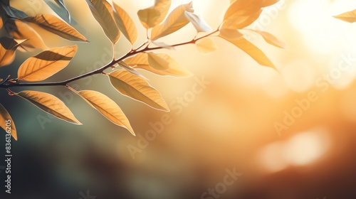 Sunlit leaves on a branch in a natural setting. photo