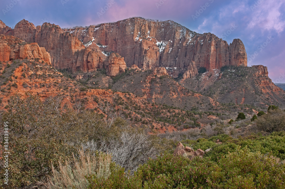 Landscape at dawn of cliff and forest, Kolob Canyons, Zion National Park, Utah, USA Landscape at dawn of cliff and forest, Kolob Canyons, Zion National Park, Utah, USA