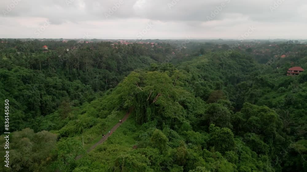 Beautiful aerial view of Campuhan Ridge Walk Ubud Bali, Indonesia Beautiful aerial view of Campuhan Ridge Walk Ubud Bali, Indonesia