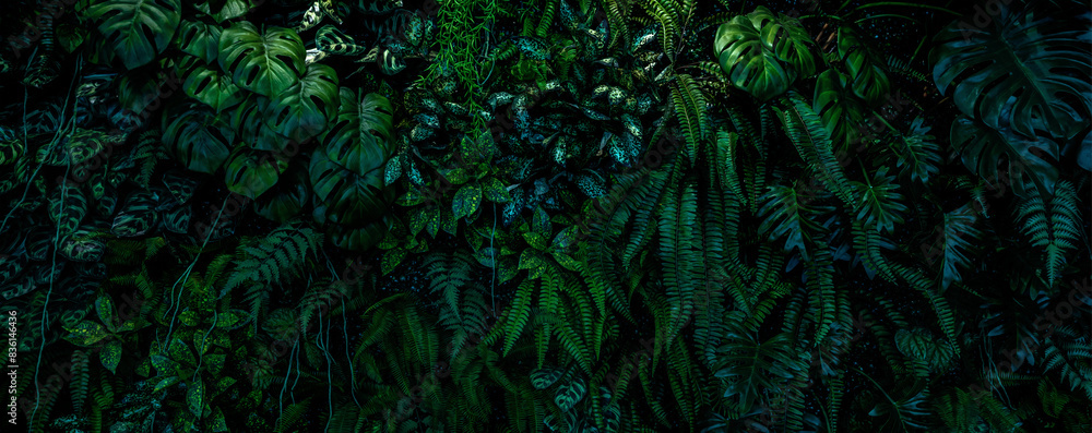 Herb wall, plant wall, natural green wallpaper and background. nature wall. Nature background of green forest