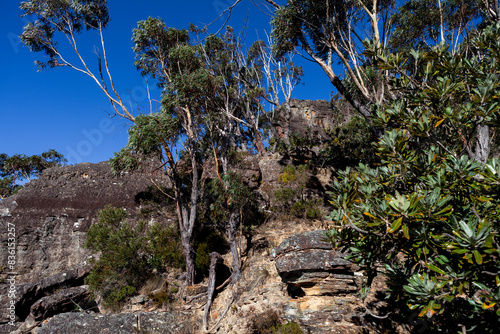 Korowal/Mt Solitary traverse in Blue Mountains National Park photo