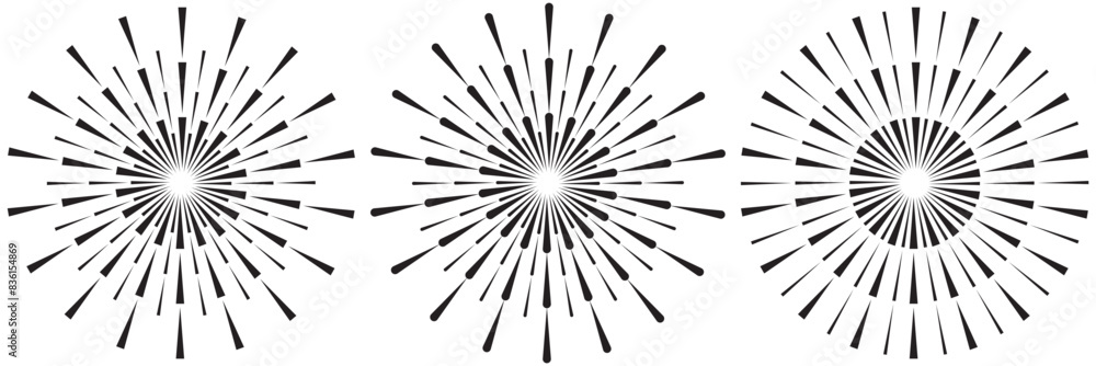 Circle from radial lines as icon or logo. Halftone black design element on white background. Circle from radial lines as icon or logo. Halftone black design element on white background.