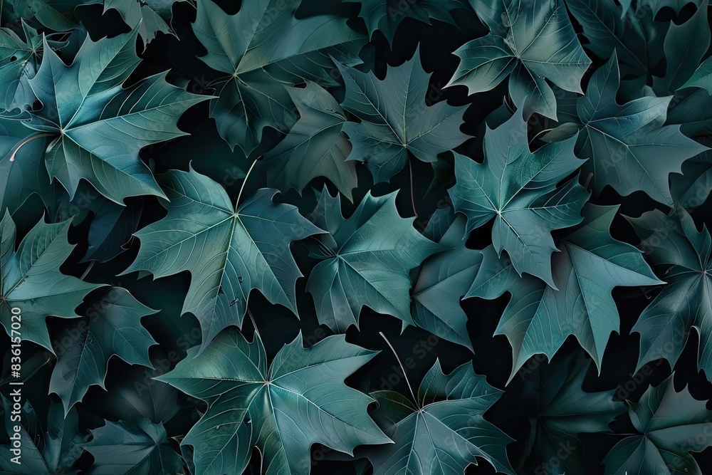 A high-resolution close-up shot of dark green maple leaves creating a textured and natural background. Perfect for nature or autumn-themed designs. A high-resolution close-up shot of dark green maple leaves creating a textured and natural background. Perfect for nature or autumn-themed designs.
