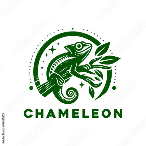 Chameleon logo set design vector illustration. Chameleon logo design photo