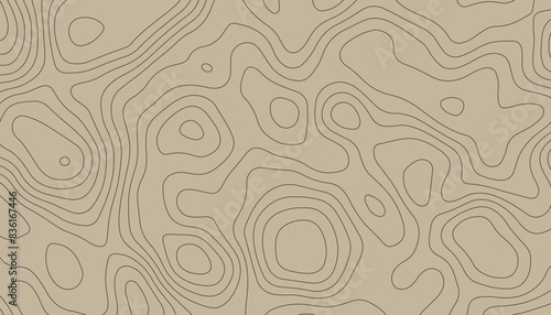 Seamless pattern with lines Topographic map. Geographic mountain relief diagram line wave carve pattern.