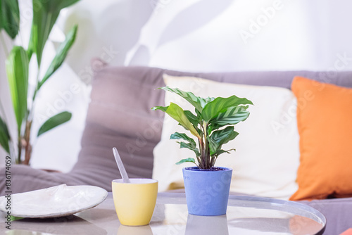 Pot de plante fleure avec une tasse de café jaune photo