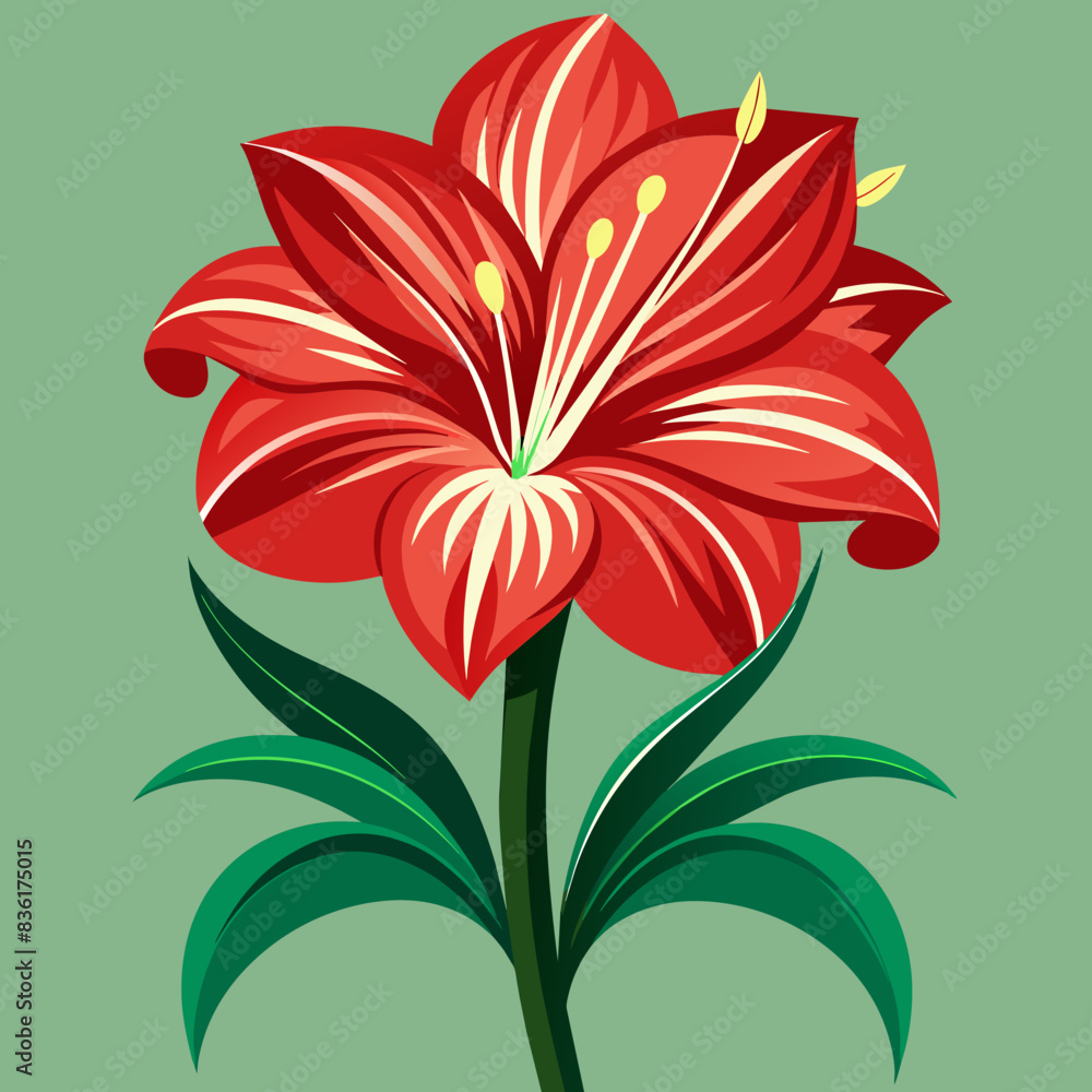 amaryllis flower . vector art flower