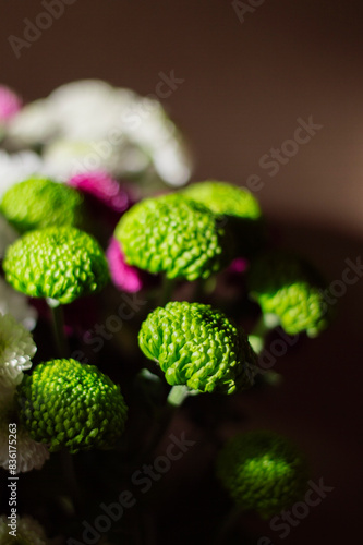 Beautiful bouquet of chrysanthemum flowers on a dark background