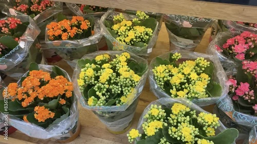 flowers in a market