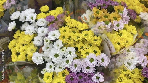 flowers in the garden
