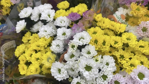 yellow and purple flowers