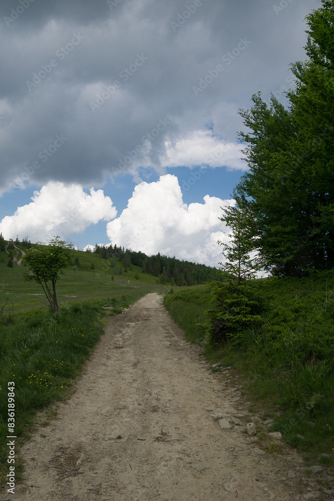 Mountain pasture in the Żywiec Beskids Mountain pasture in the Żywiec Beskids