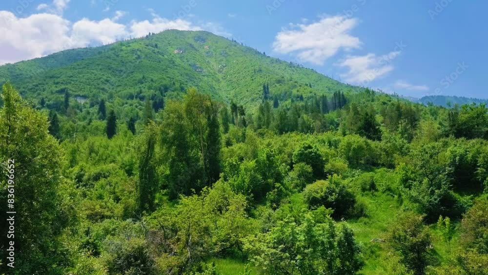 Beautiful summer day in the mountains Beautiful summer day in the mountains