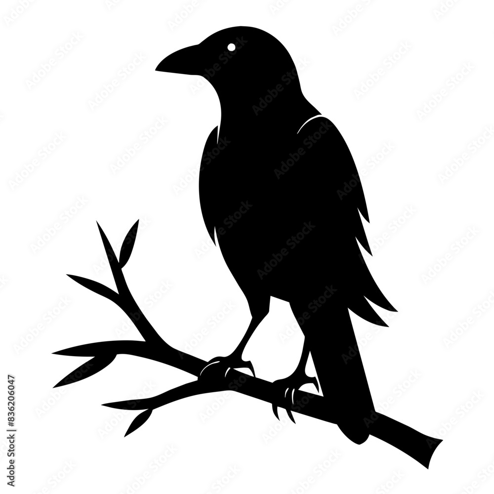 Fototapeta premium Crow setting on a branch vector silhouette illustration 