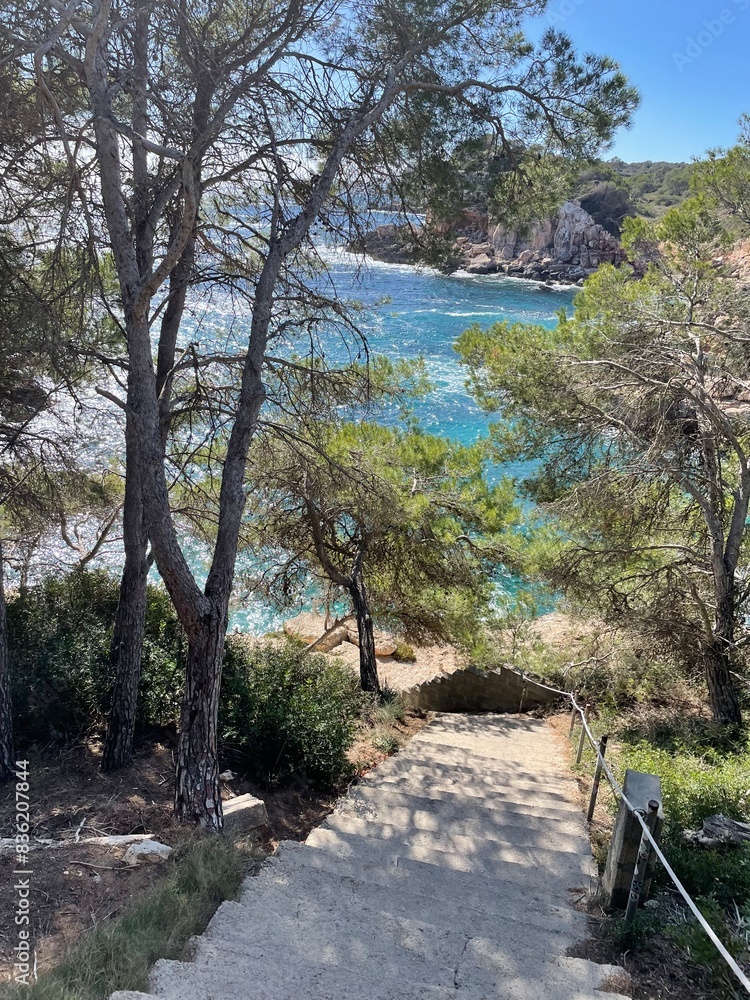 Stairway to Hidden Beach: Palms, Cliffs, and Turquoise Paradise Stairway to Hidden Beach: Palms, Cliffs, and Turquoise Paradise