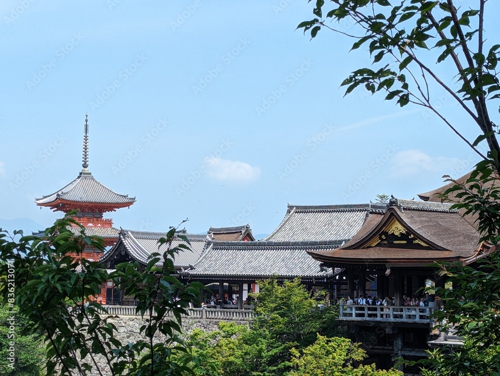 Fototapeta premium japanese temple in kyoto