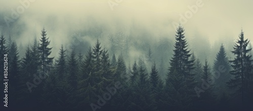 Vintage retro hipster style mountain landscape with misty fog, evergreen forest, and ample copy space image. © Ilgun