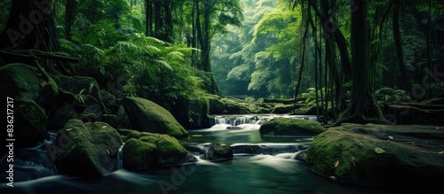 A lush Asian jungle setting with a cascading waterfall  perfect for a serene copy space image.