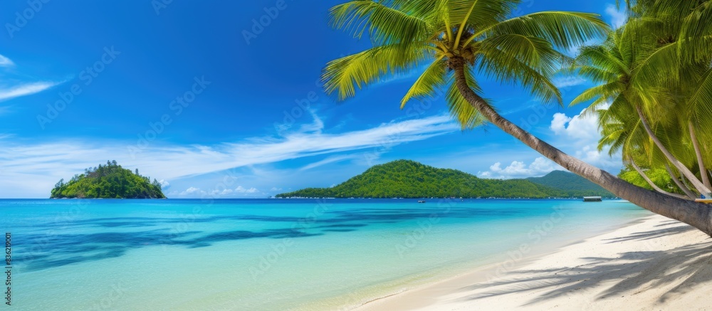 Coconut palm trees lining a sandy beach create a tropical paradise with a beautiful landscape, perfect for a copy space image. Coconut palm trees lining a sandy beach create a tropical paradise with a beautiful landscape, perfect for a copy space image.