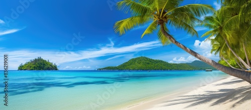 Coconut palm trees lining a sandy beach create a tropical paradise with a beautiful landscape, perfect for a copy space image.