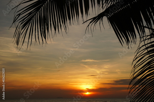 Landscape Tranquil scene of big red sun and orange sky sunset over the sea and silhouette tree at pattaya Thailand.     