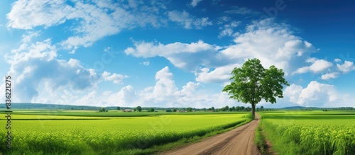 Scenic country road leading to a village surrounded by farms and fields with ample copy space image.
