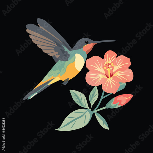 Humming bird vector eps