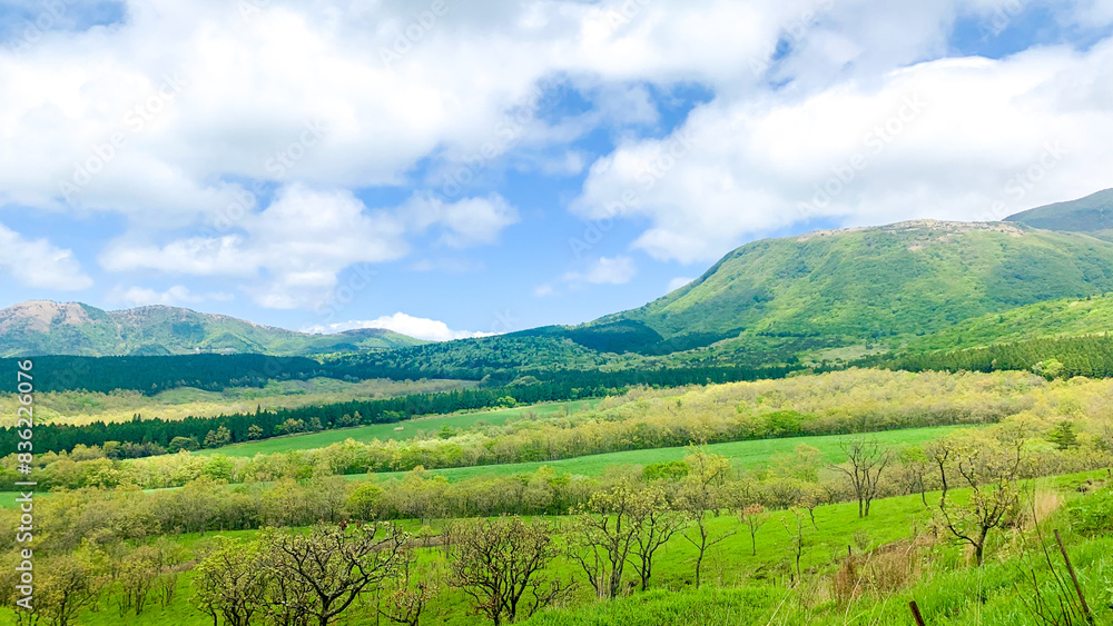 Obraz premium やまなみハイウェイ