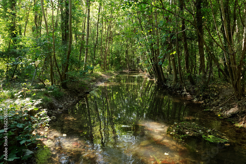 River Sensitive natural area in the French Gatinais Regional Nature Park 
