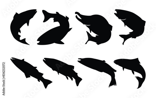 Atlantic salmon fish silhouette collection. Sea animal salmon fish vector illustration set. 