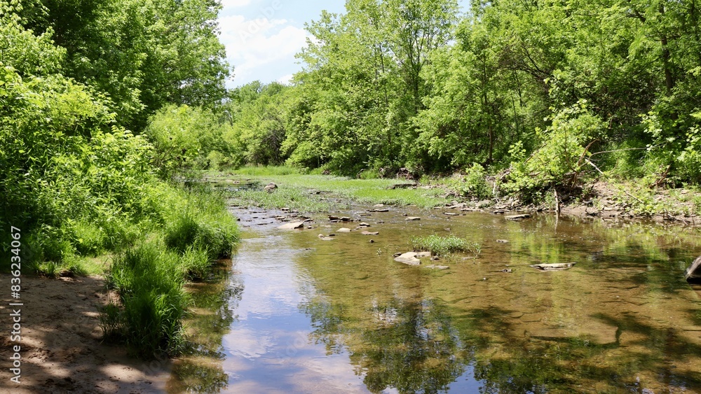 The flowing creek in the woods on a sunny day. The flowing creek in the woods on a sunny day.