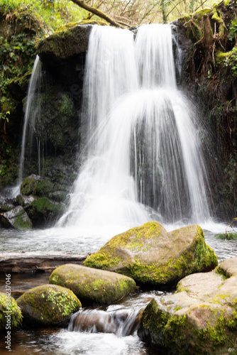 vertical photograph of impressive waterfall with lots of water splashing in very lush green jungle with lots of shiny moss on rocks and trees. long exposure.