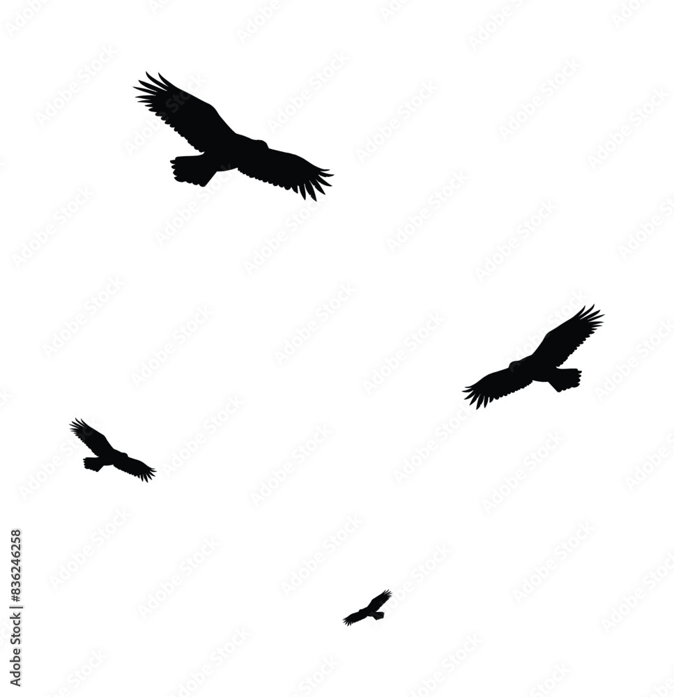Obraz premium A group of flying birds silhouettes in vector shape.