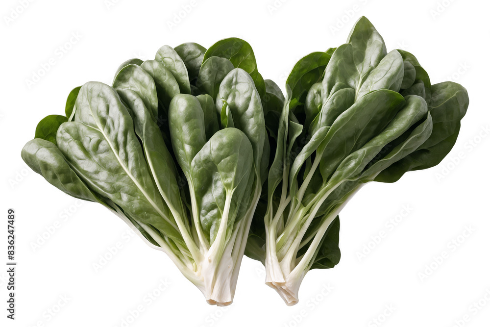 Two fresh bunches of spinach isolated on a transparent, white background in png format, great for food content Two fresh bunches of spinach isolated on a transparent, white background in png format, great for food content