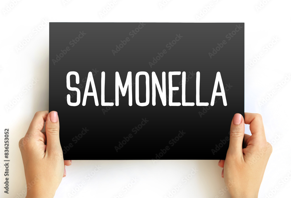 Salmonella is a genus of rod-shaped Gram-negative bacteria of the family Enterobacteriaceae, text concept on card Salmonella is a genus of rod-shaped Gram-negative bacteria of the family Enterobacteriaceae, text concept on card