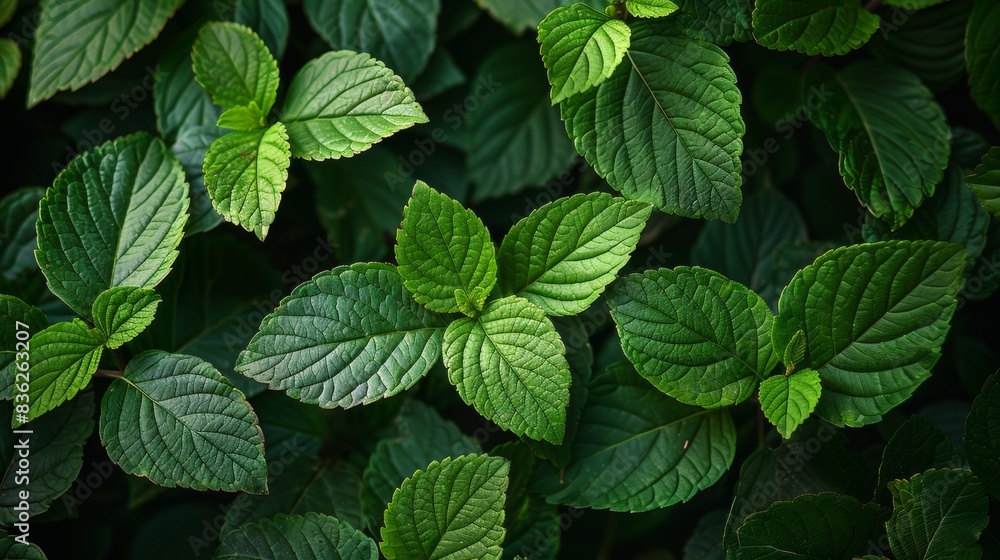 Green Leaves with Geometric Pattern Green Leaves with Geometric Pattern