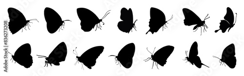 Flying butterflies silhouette black set isolated on white background. Flying butterflies set.