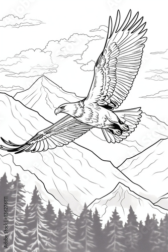 Book page black and white eagle line art coloring book Cute Line Art