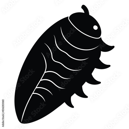 Solid color Chiton animal vector design photo