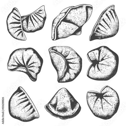 Hand-Drawn Vintage Collection of Diverse Dumpling Shapes
